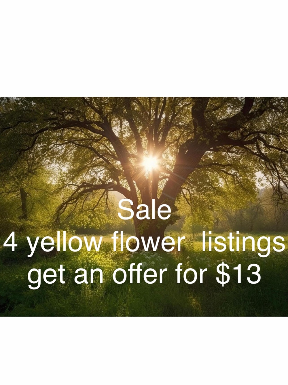 🌼 4/$13 - Bundle and Save